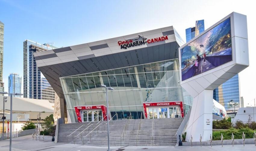 3 Bedroom Beside Cn Tower With Parking Downtown Τορόντο Εξωτερικό φωτογραφία